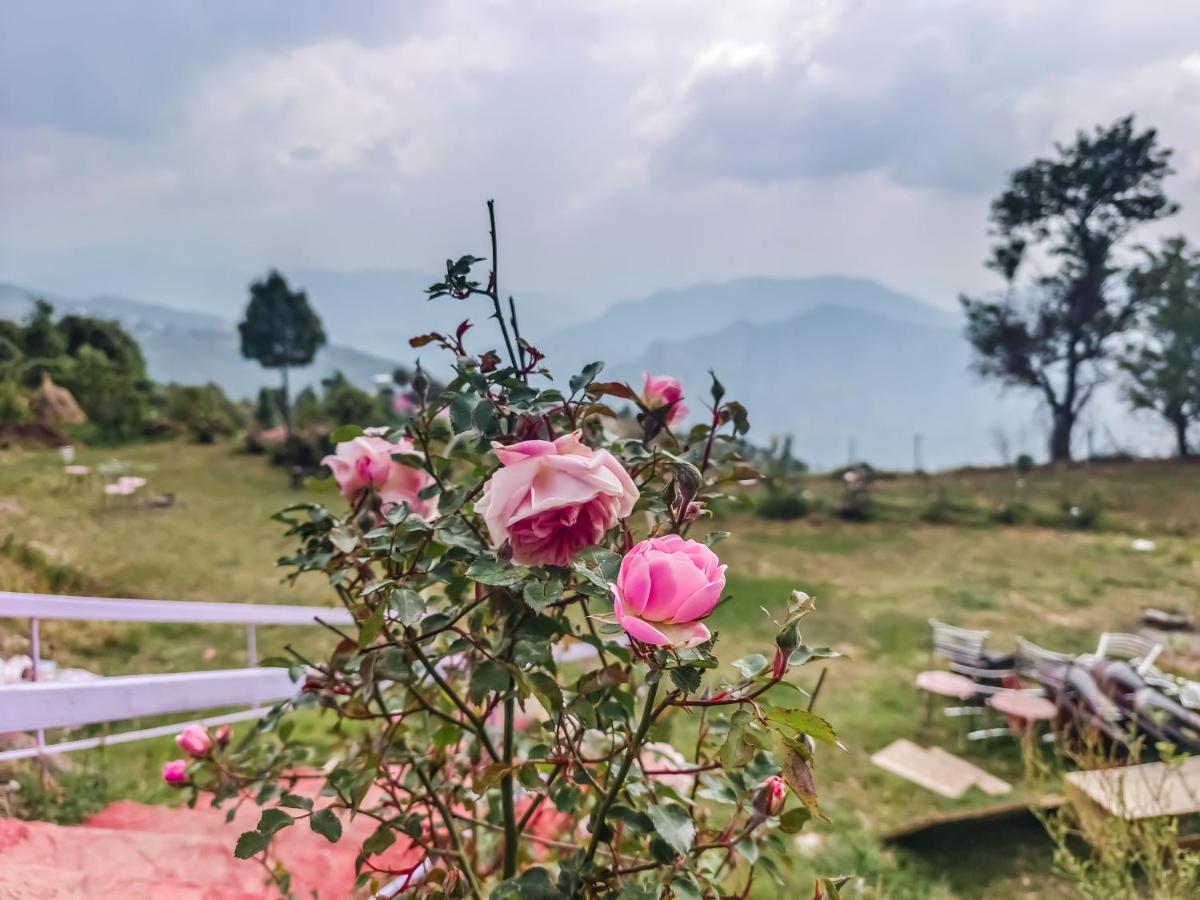 Haut Monde King'S Paradise Resort Kanatal Eksteriør bilde