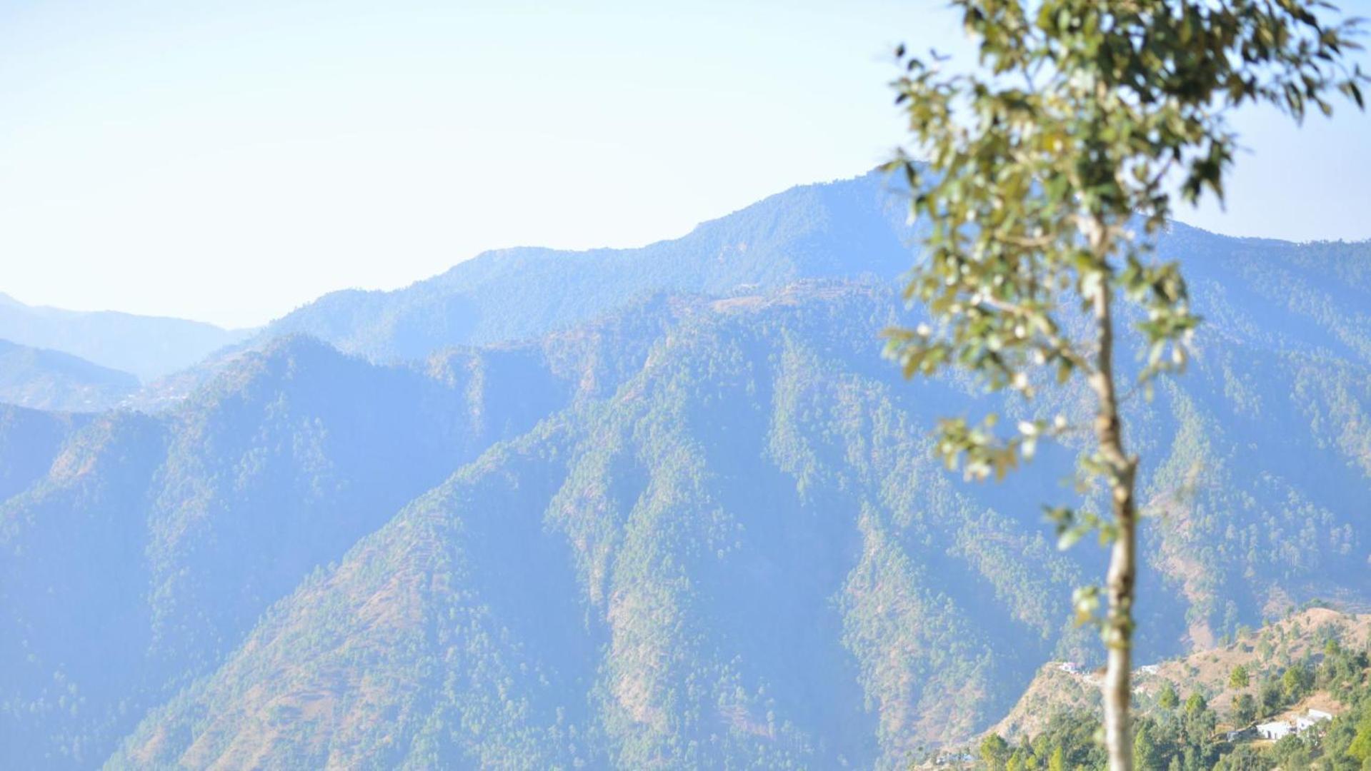 Haut Monde King'S Paradise Resort Kanatal Eksteriør bilde
