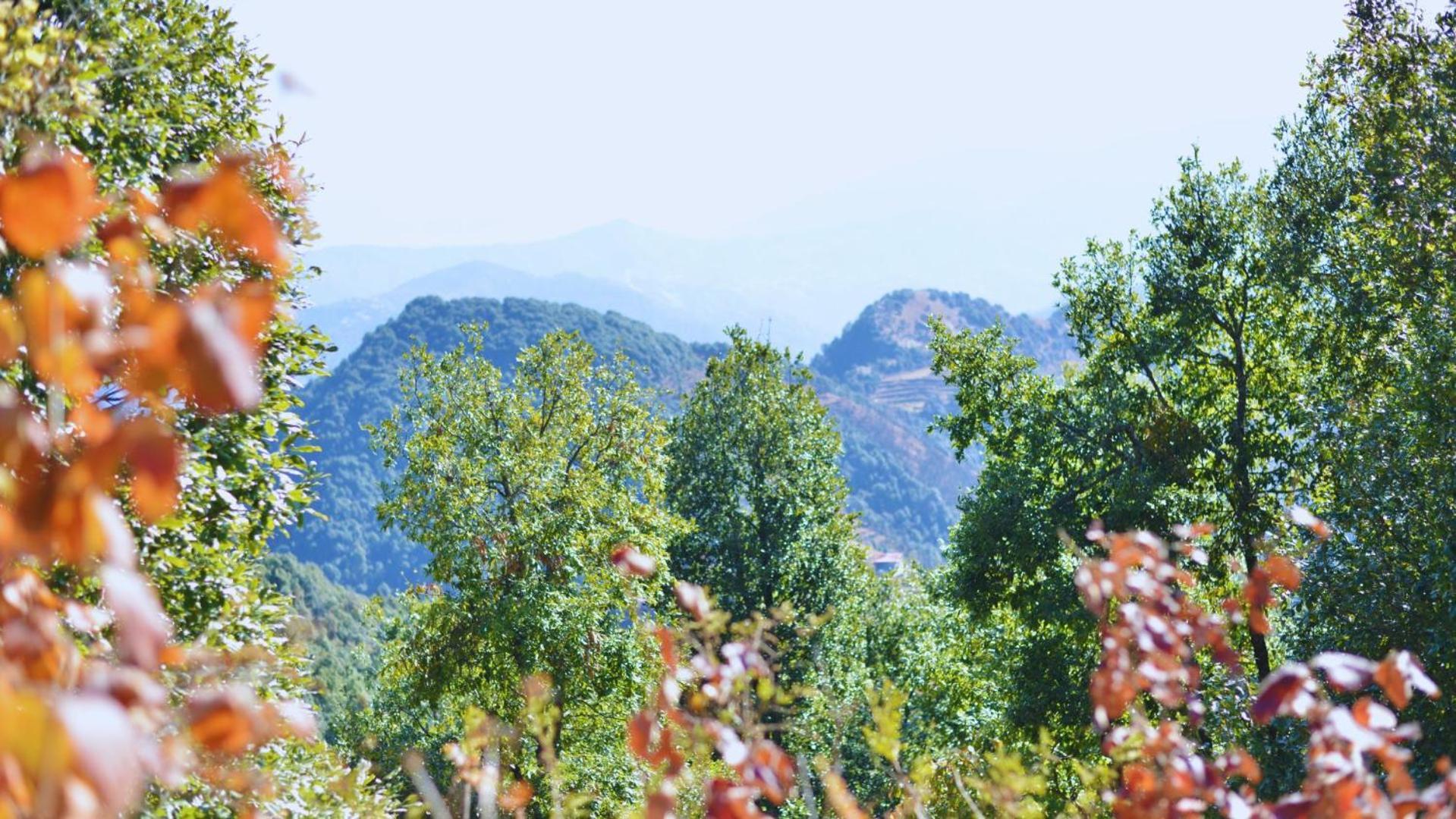 Haut Monde King'S Paradise Resort Kanatal Eksteriør bilde