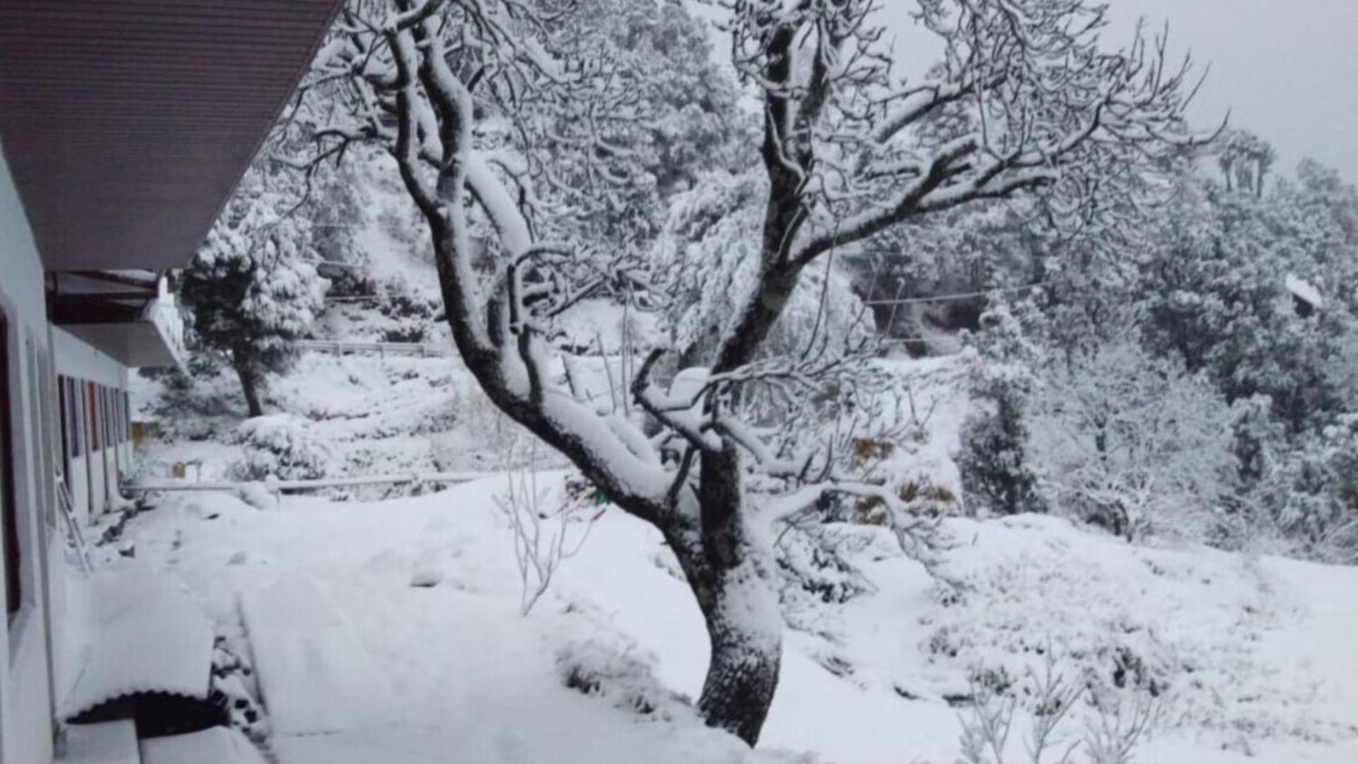 Haut Monde King'S Paradise Resort Kanatal Eksteriør bilde