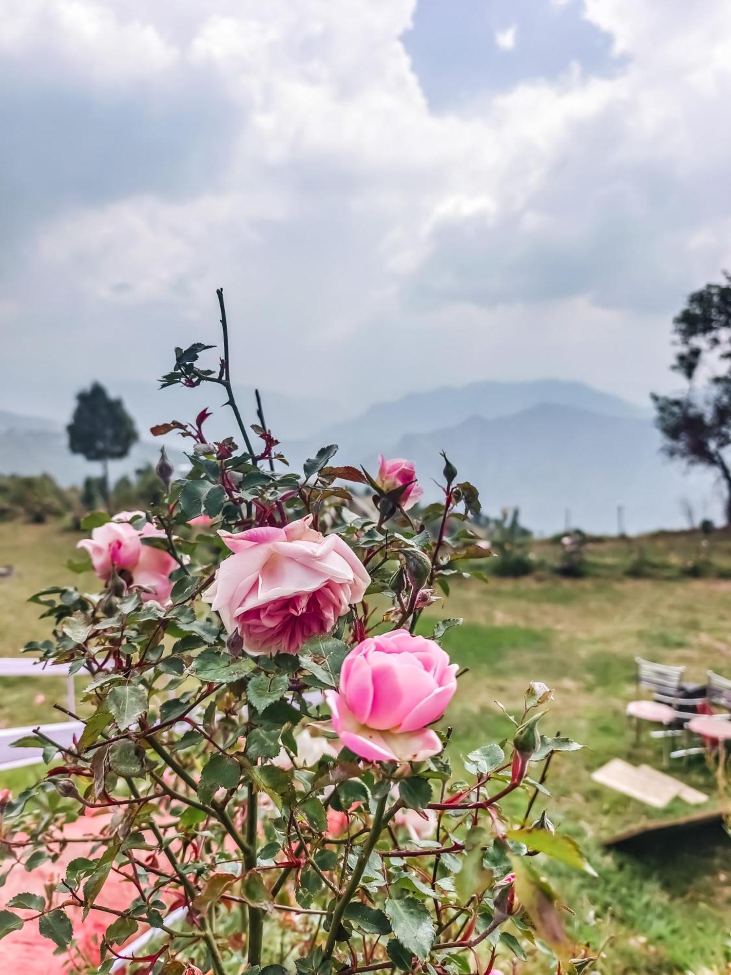 Haut Monde King'S Paradise Resort Kanatal Eksteriør bilde